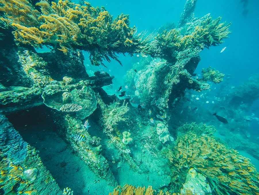 Everything You Should Know about Diving in Remote Amed, Bali 