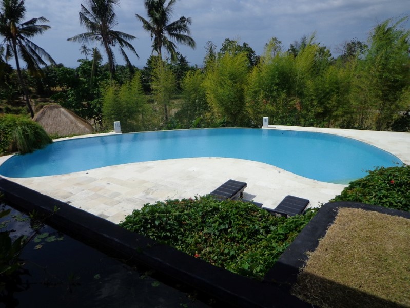 Villa Lovina Bali You Can Find for a holiday