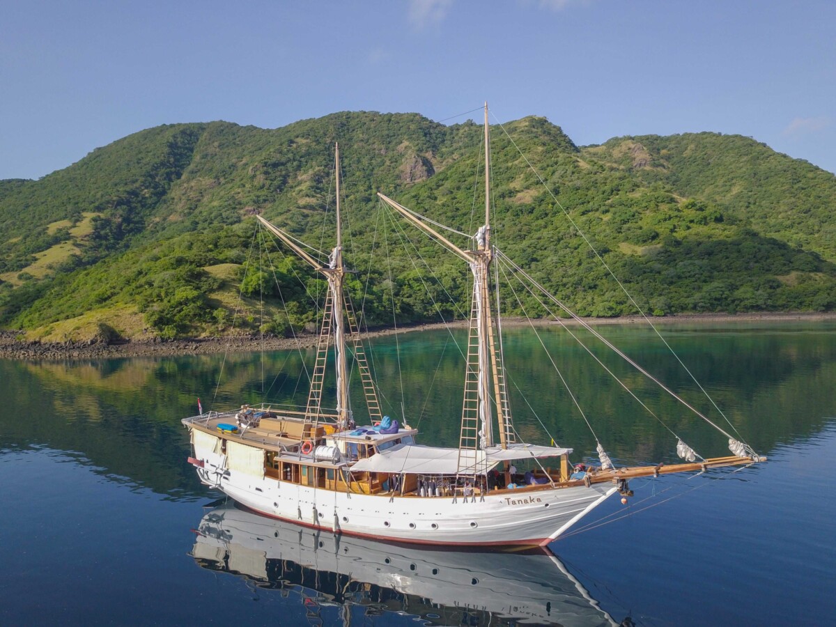 Hidden Wonders: 7 Things You Never Knew About Liveaboard Adventures