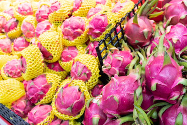 dragon fruit one of the best fruit for travel