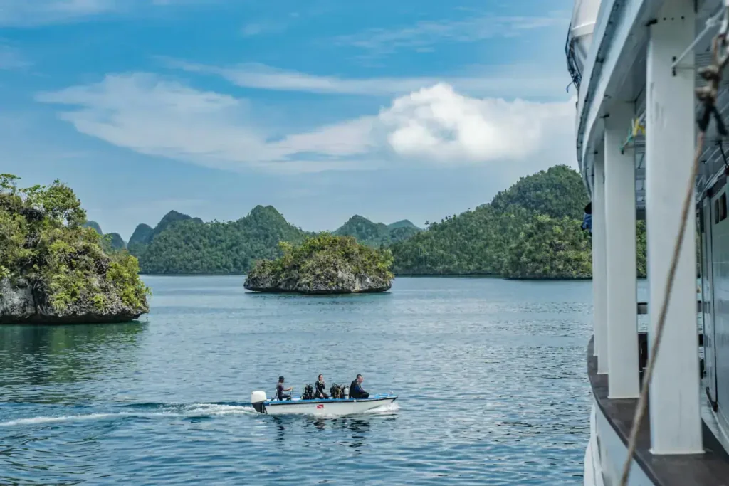 diving cruises